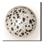 dalmation stone